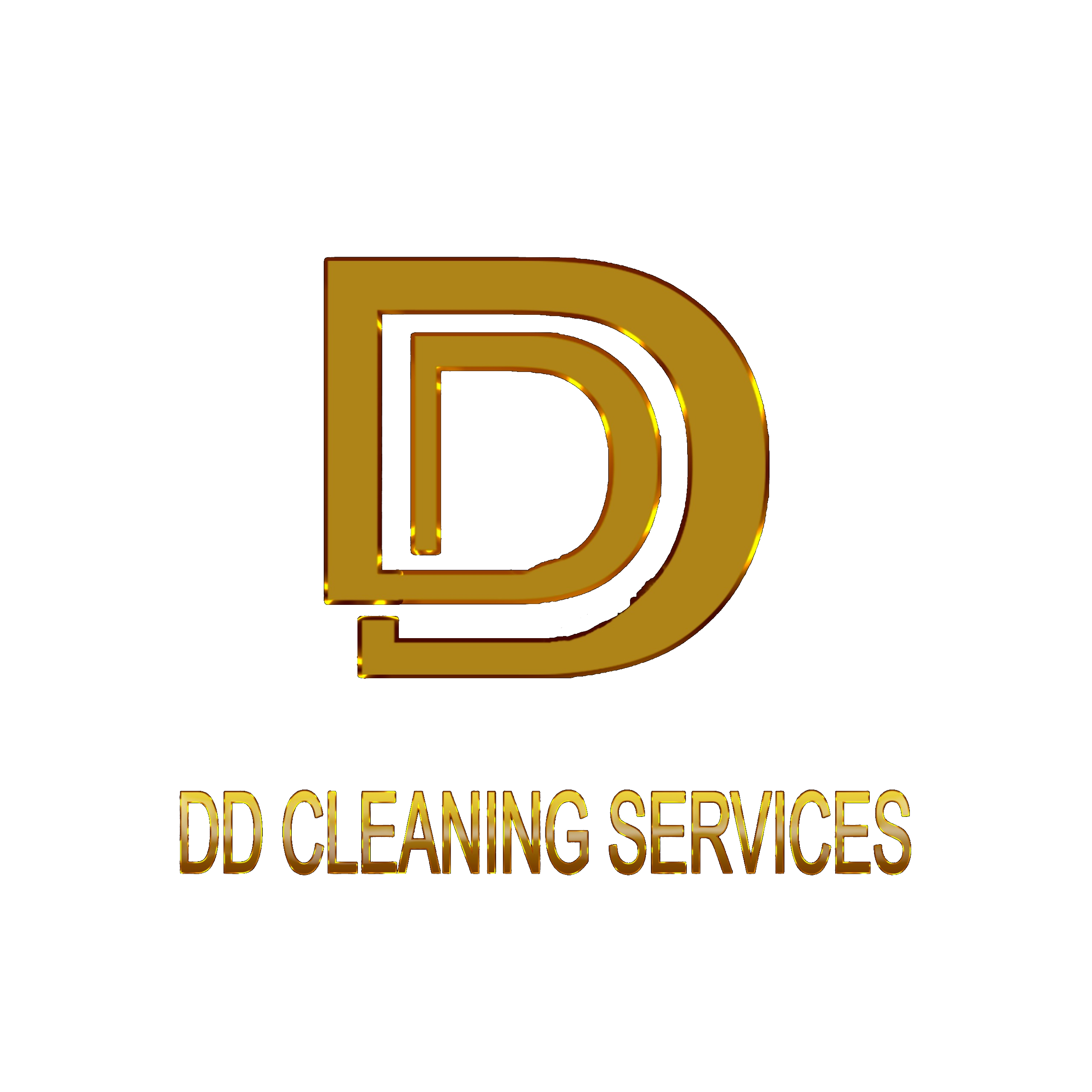 Professional cleaning service