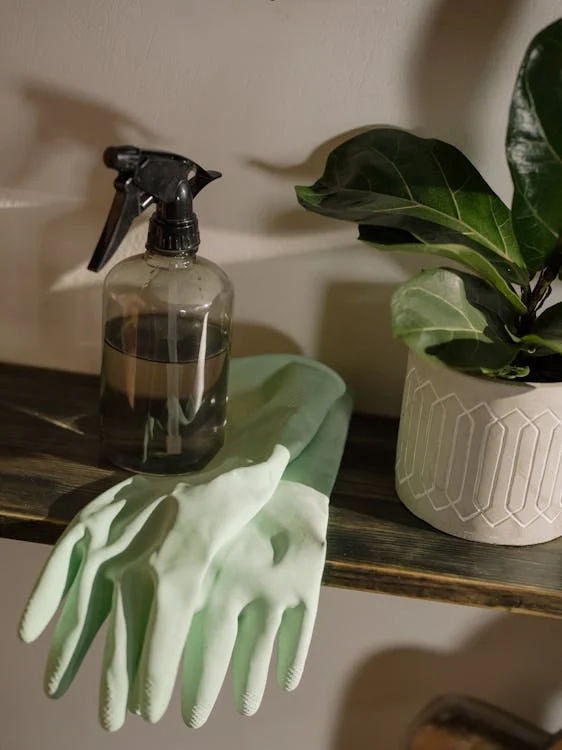 Professional cleaning service